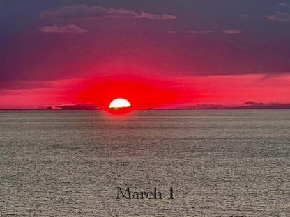 March 1