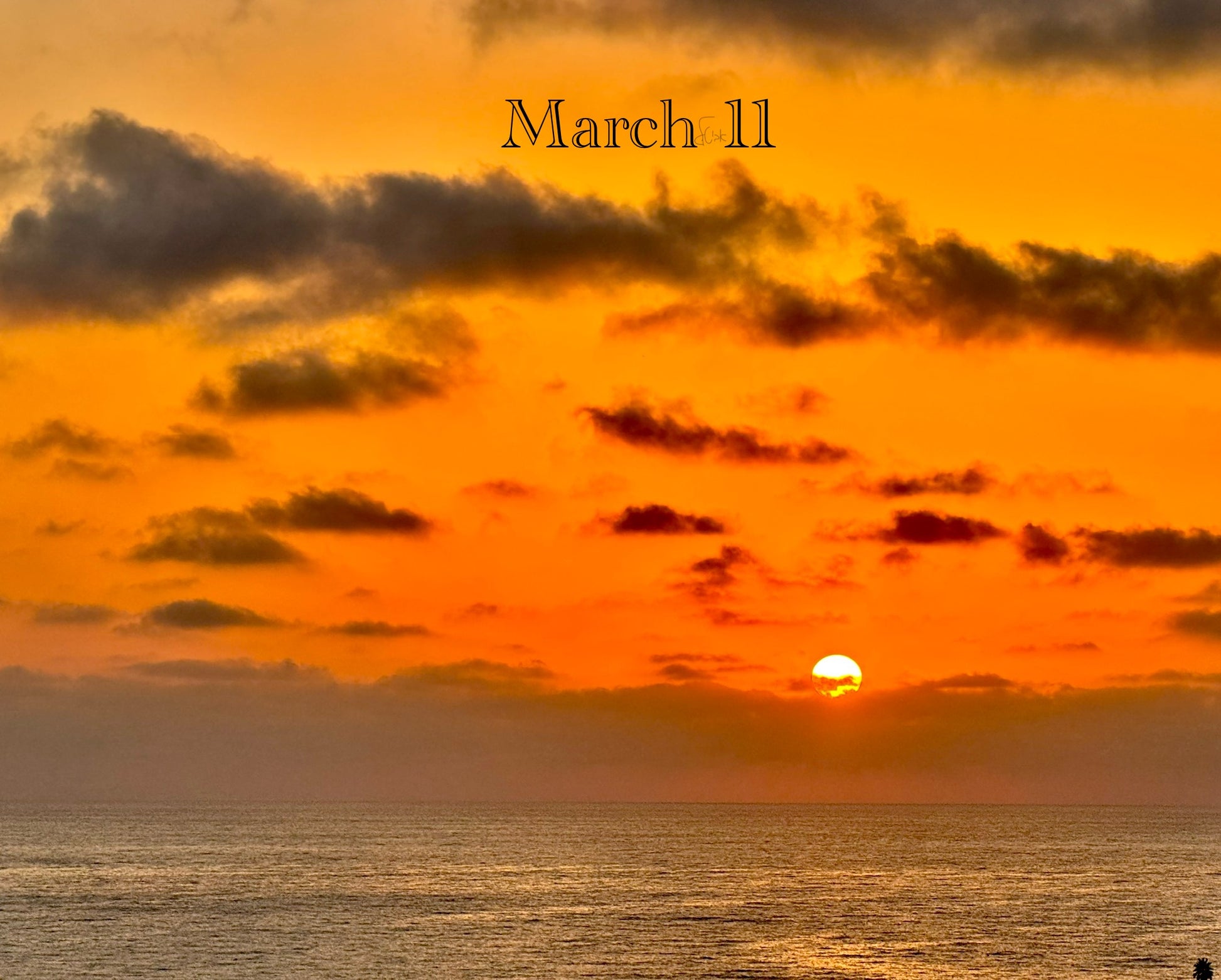 March 11