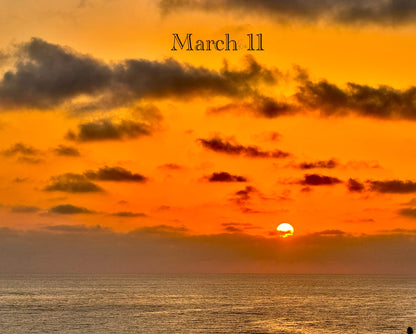 March 11