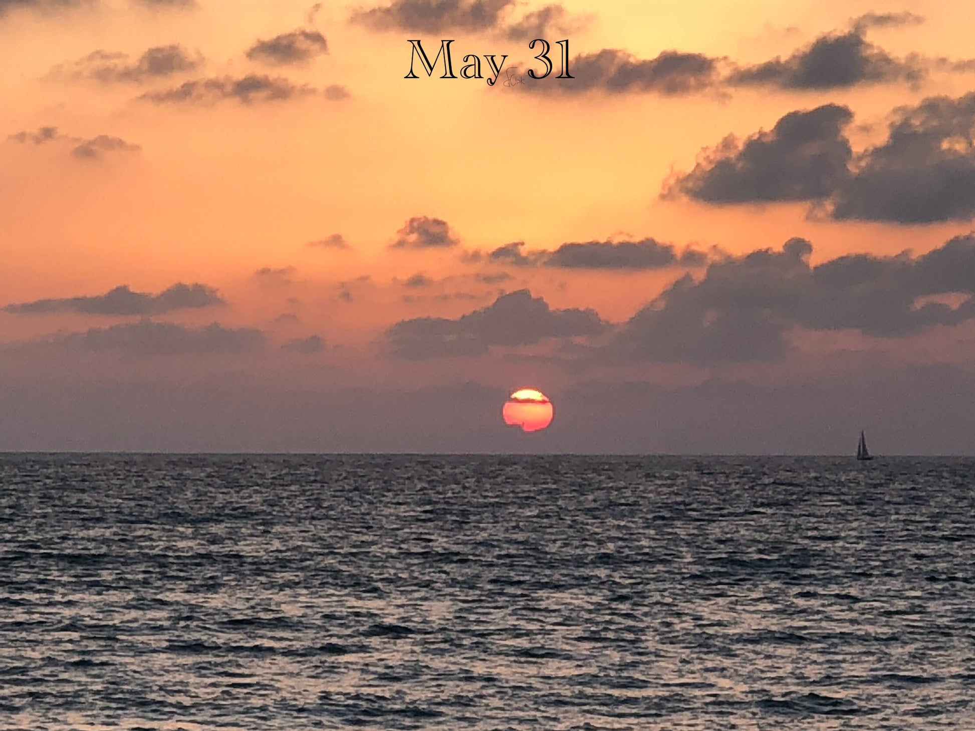 May 31