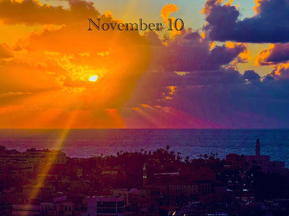 November 10