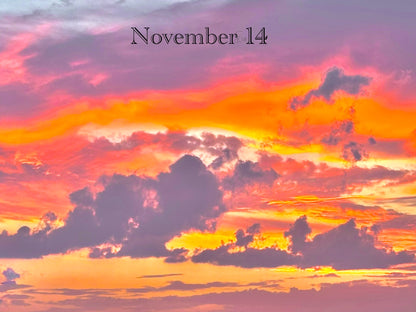 November 14
