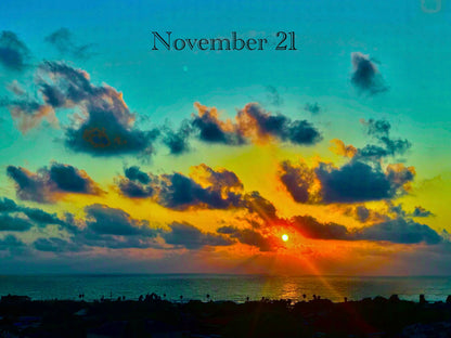 November 21 