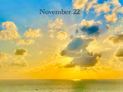 November 22
