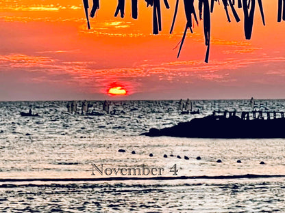 November 4