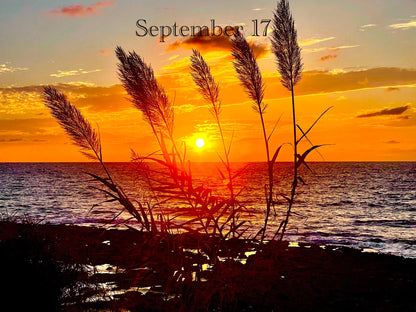 September 17