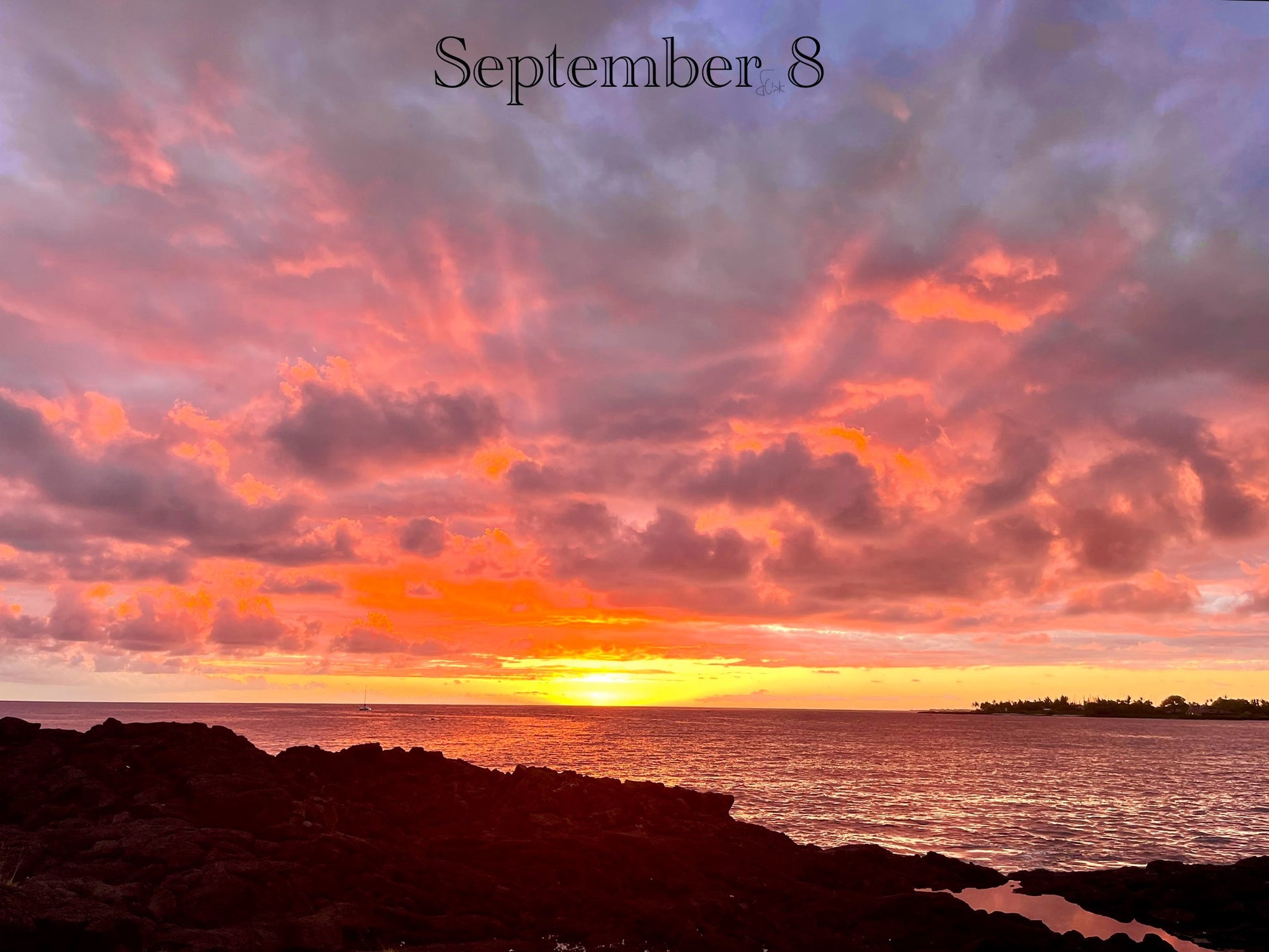 September 8