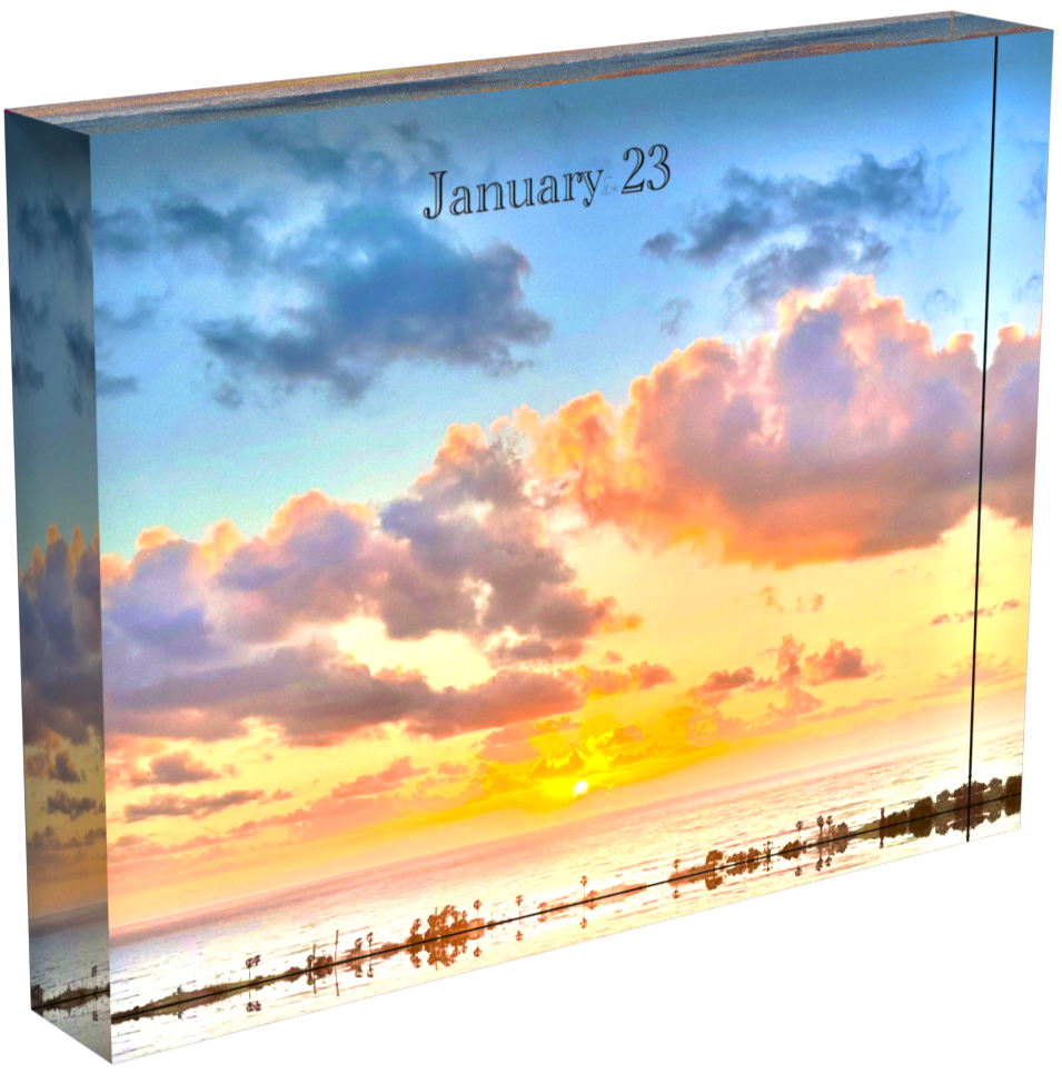 January 23 - V1