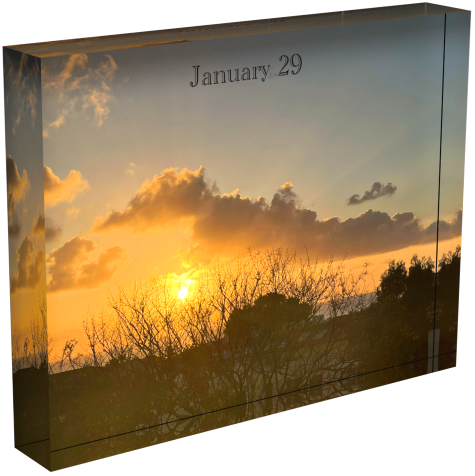 January 29 - V1