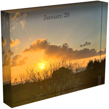 January 29 - V1